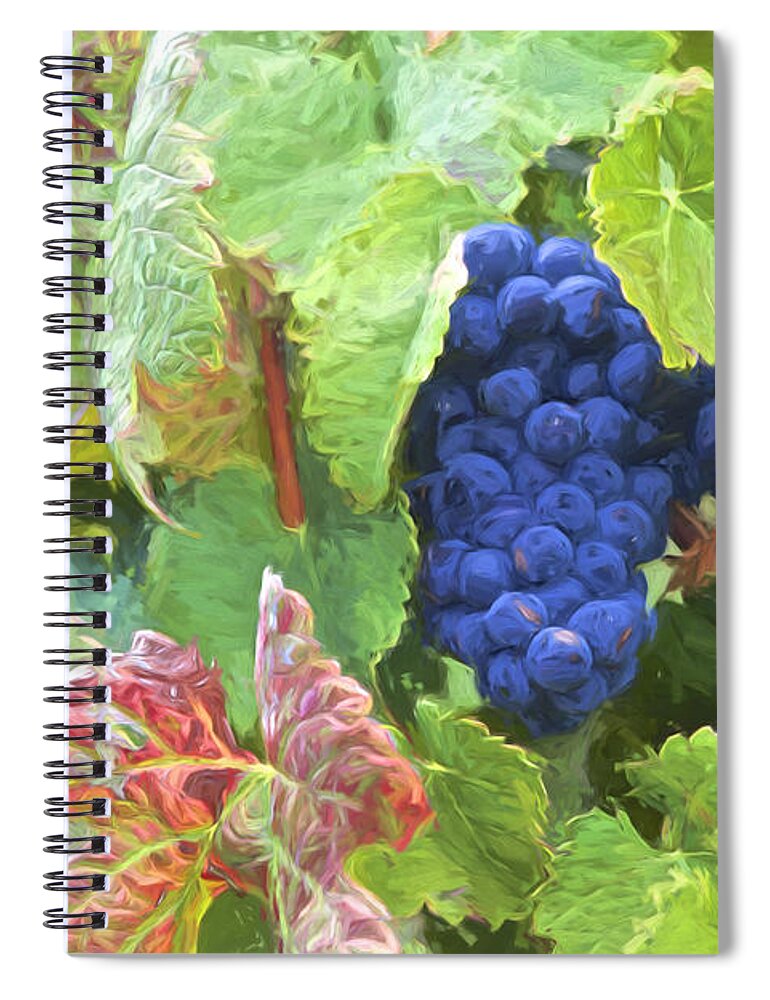 David Letts Spiral Notebook featuring the photograph Port Wine Grapes by David Letts