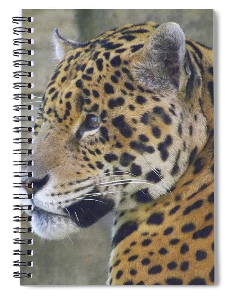 Animal Spiral Notebook featuring the photograph Portrait of A Jaguar by Lingfai Leung