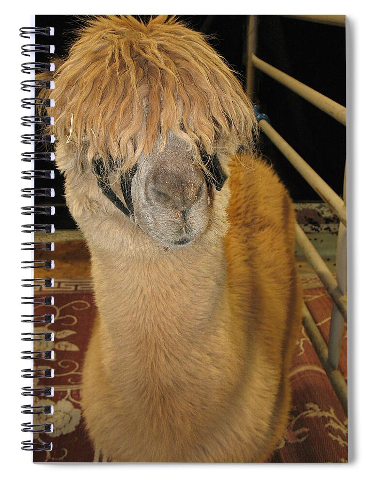 Charming Spiral Notebook featuring the photograph Portrait of an Alpaca by Connie Fox