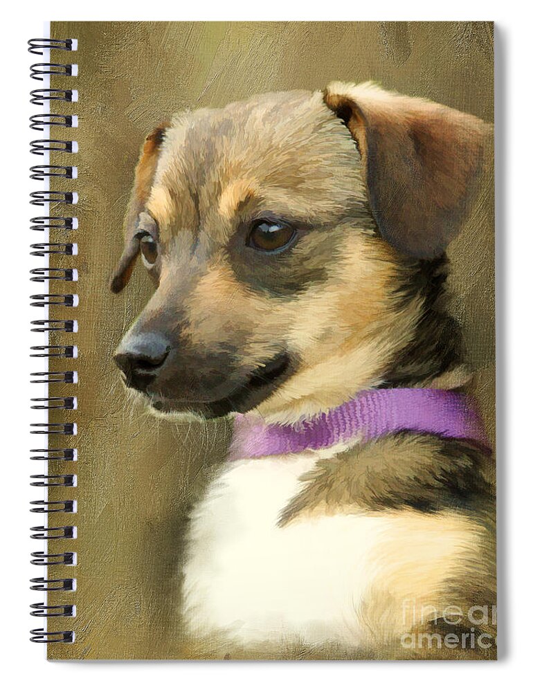 Chihuahua Spiral Notebook featuring the digital art Portrait of Maizie by Jayne Carney