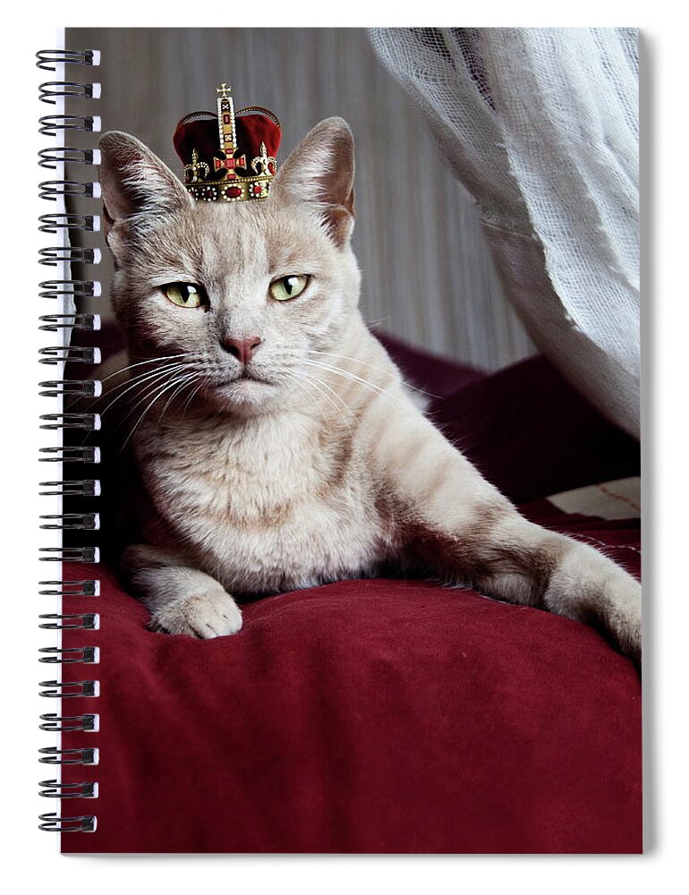 Crown Spiral Notebook featuring the photograph Portrait Of White Cat With Crown On Head by By Sigi Kolbe