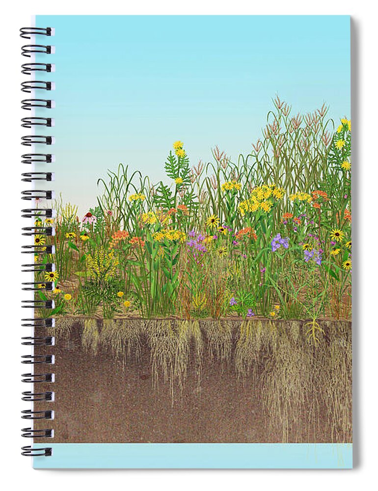Prairie Spiral Notebook featuring the photograph Prairie Plants Succession, Illustration by Carlyn Iverson