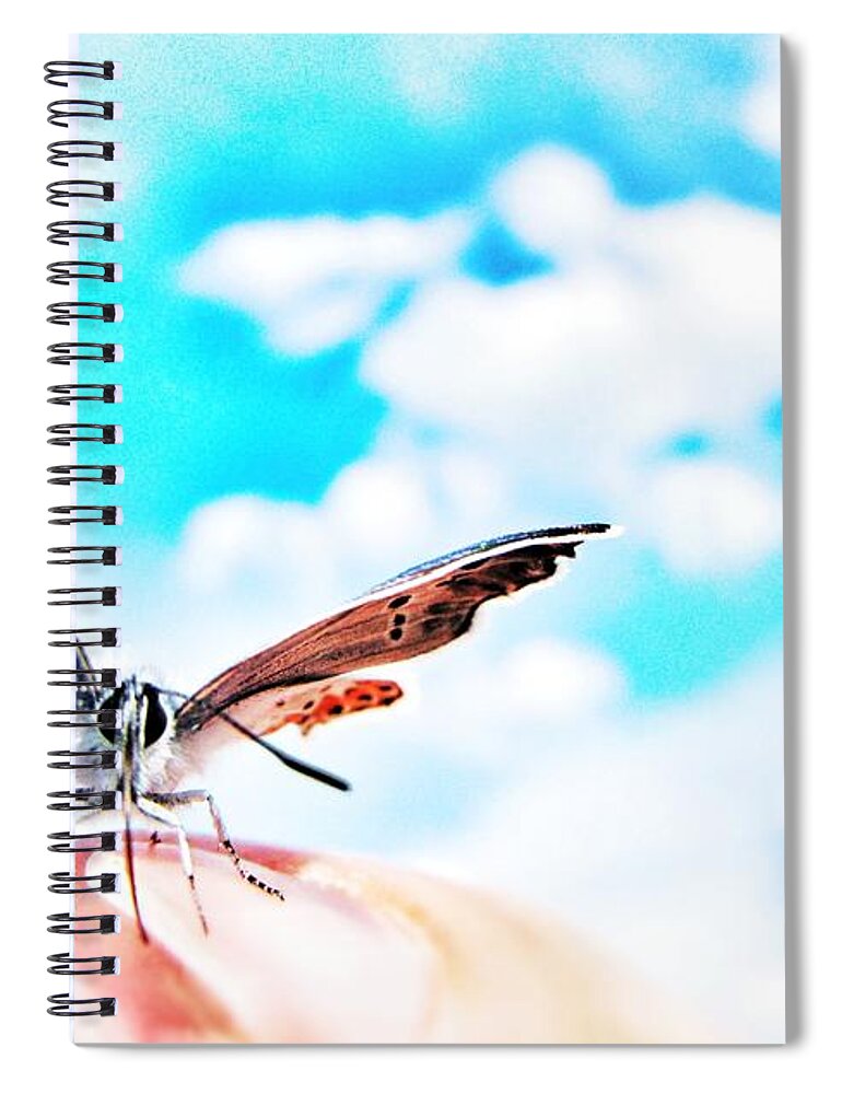 Butterfly Spiral Notebook featuring the photograph Precious Moment by Marianna Mills