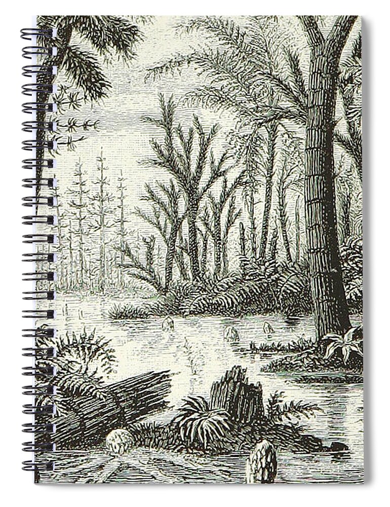 Historic Spiral Notebook featuring the photograph Prehistoric Flora, Carboniferous by British Library