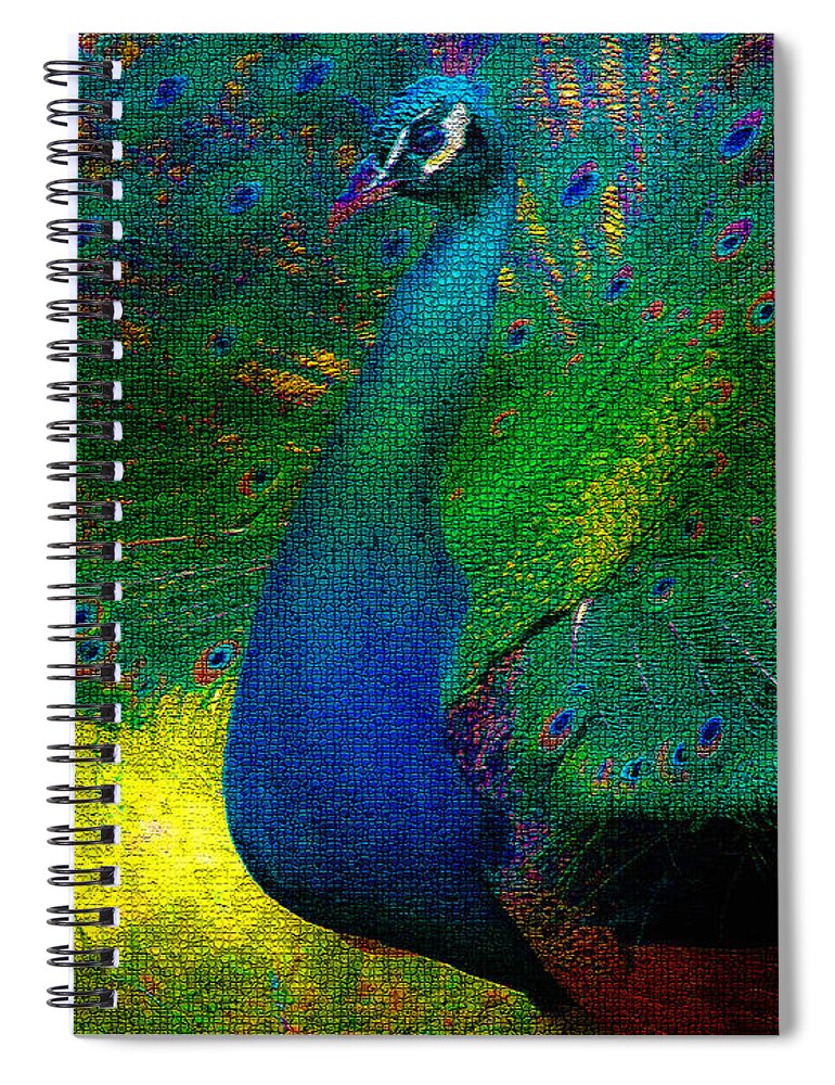 Peacock Spiral Notebook featuring the photograph Pretty as a Peacock by Ola Allen