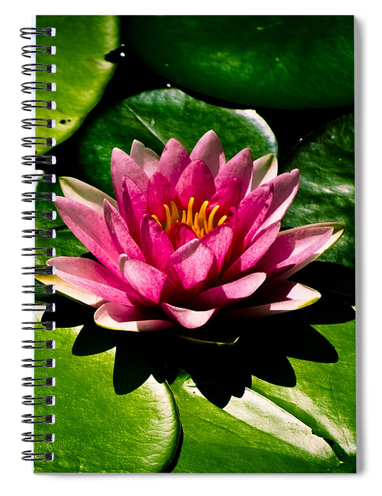 Aquatic Spiral Notebook featuring the photograph Pretty in Pink by Christi Kraft