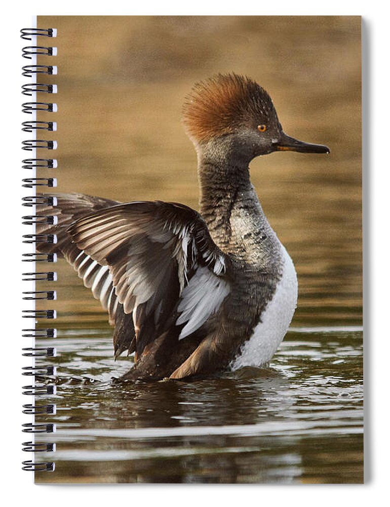 Duck Spiral Notebook featuring the photograph Pretty Little Redhead by Sue Capuano