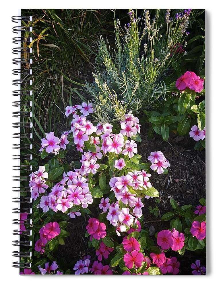 Original Photograph Spiral Notebook featuring the photograph Pretty Pink Flowers by Joan Reese