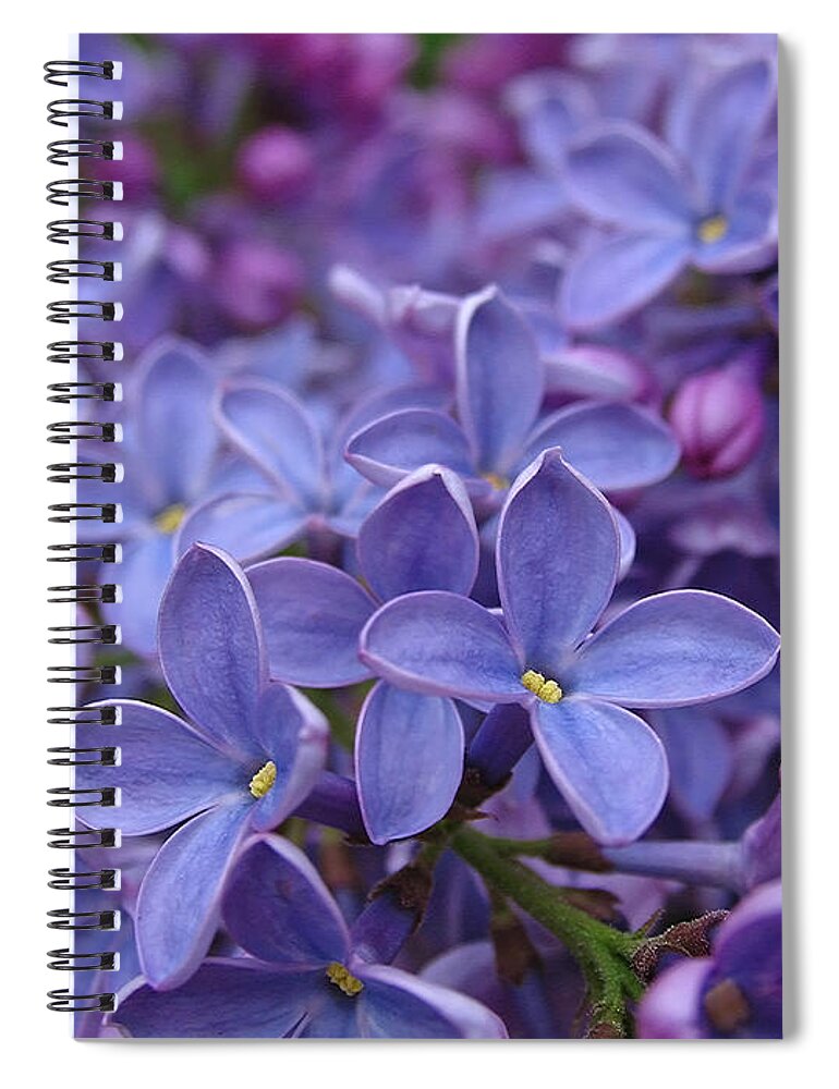 Pretty Purple Things Spiral Notebook by Juergen Roth - Pixels
