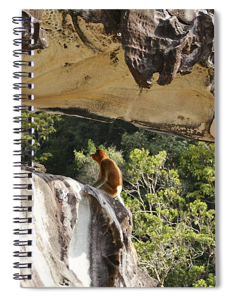 Proboscis Monkey Spiral Notebook featuring the photograph Proboscis Cliff by Brian Kamprath
