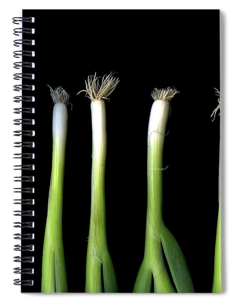 Five Objects Spiral Notebook featuring the photograph Punk Spring Onions by Photograph By Magda Indigo