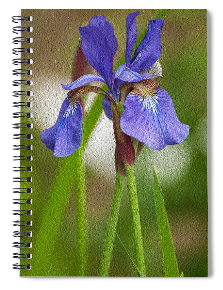 Bearded Iris Spiral Notebook featuring the photograph Purple Bearded Iris Oil by Brenda Jacobs