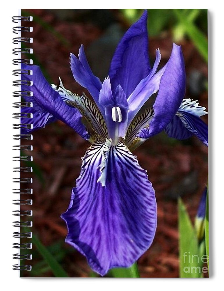 Purple Spiral Notebook featuring the photograph Purple Beauty by David Neace CPX