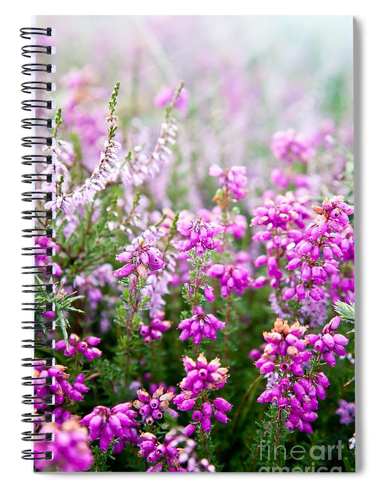  Flower Spiral Notebook featuring the photograph Purple bell erica heather plants by Simon Bratt