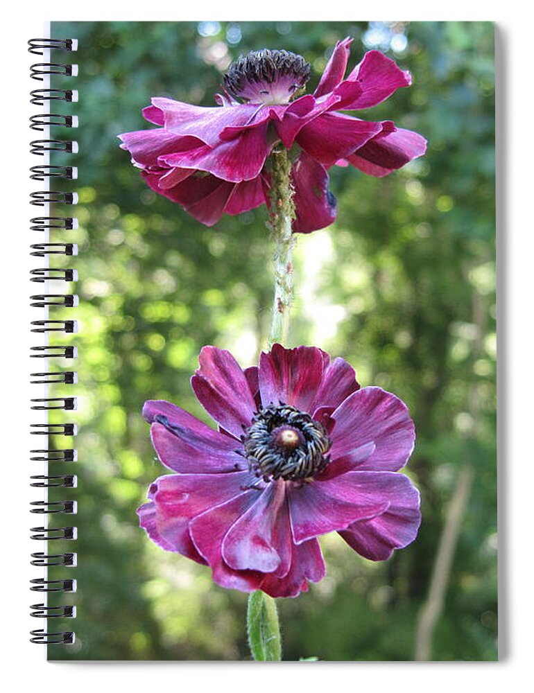 Trees Spiral Notebook featuring the photograph Purple Flowers by HEVi FineArt