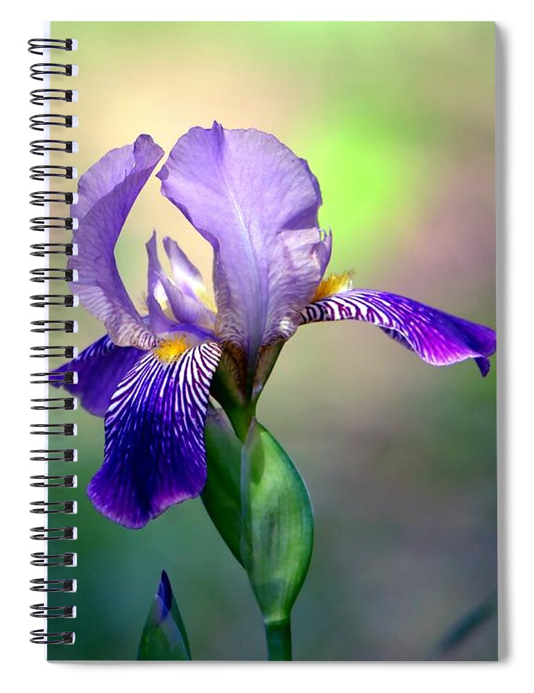 Iris Spiral Notebook featuring the photograph Purple Iris by Deena Stoddard