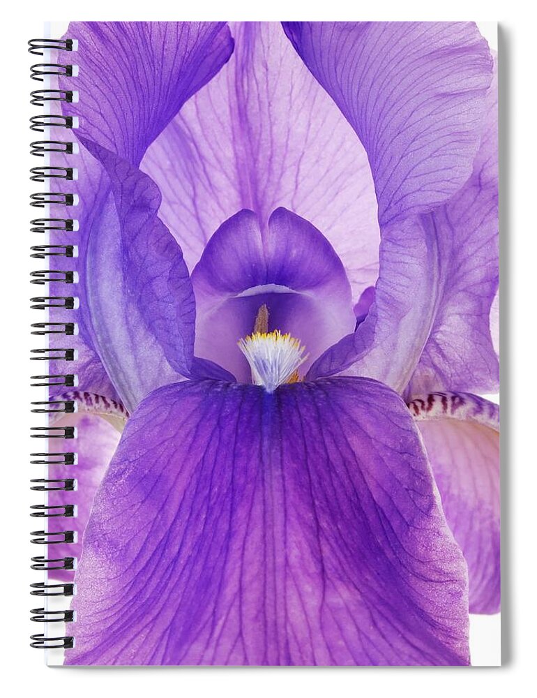 Iris Spiral Notebook featuring the photograph Purple Iris by Jim Hughes