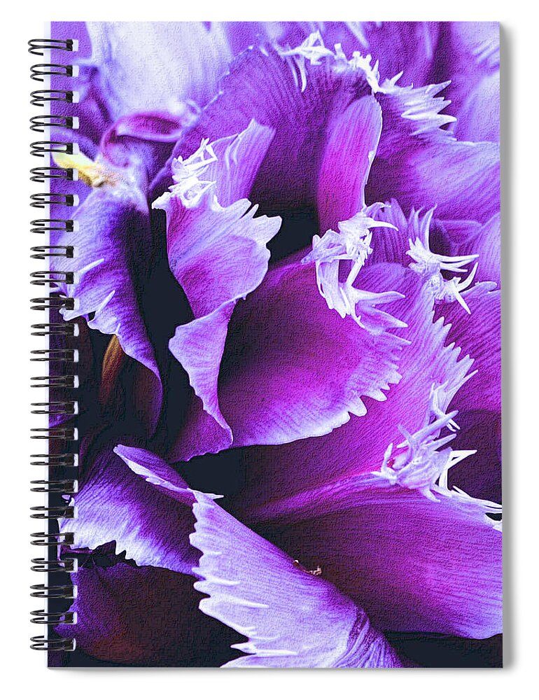 Flower Spiral Notebook featuring the photograph Purple Perfection by Nadalyn Larsen