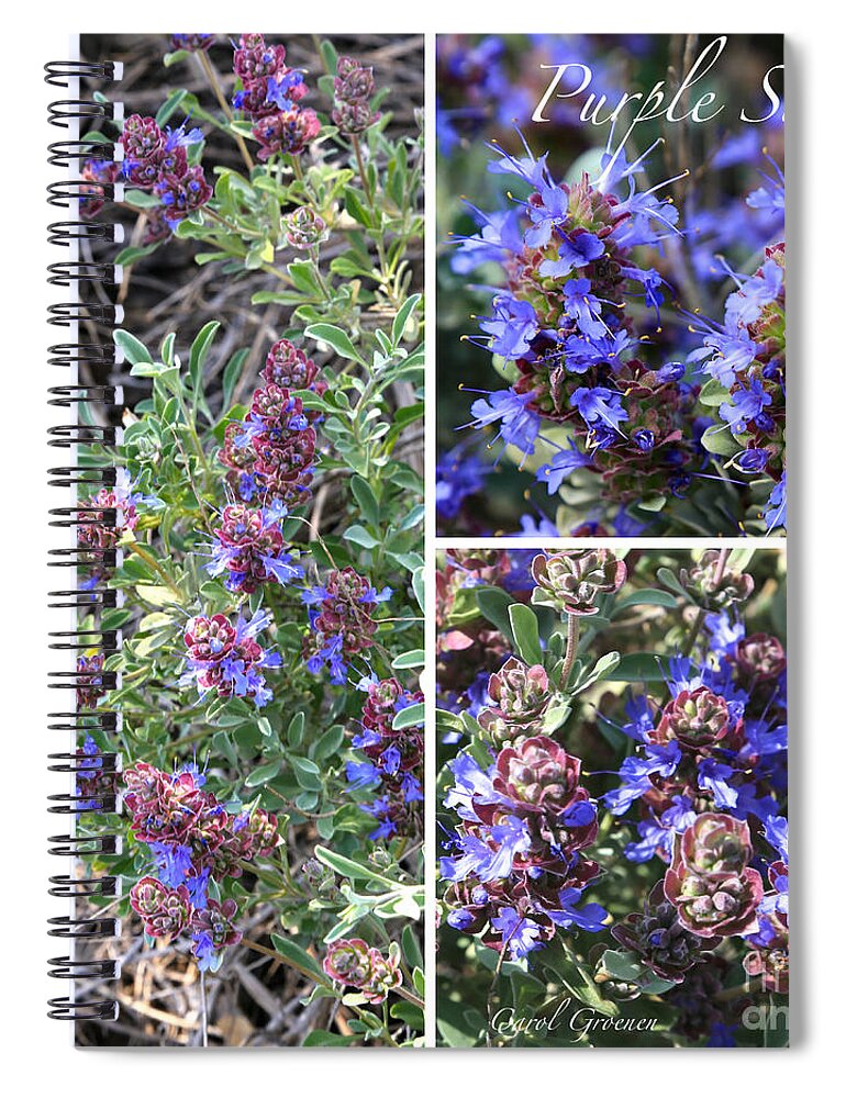 Purple Sage Spiral Notebook featuring the photograph Purple Sage Collage by Carol Groenen