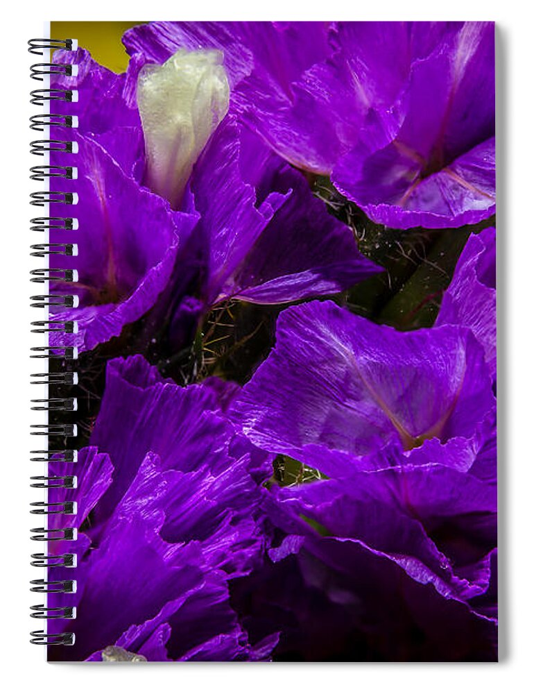 Flower Spiral Notebook featuring the photograph Purple Statice by Ron Pate