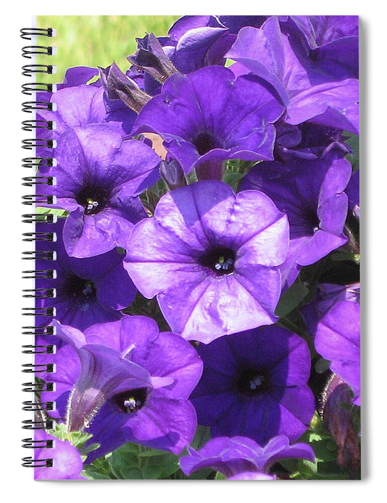 Petunias Spiral Notebook featuring the photograph Purple Wave Petunias Close Up by Conni Schaftenaar