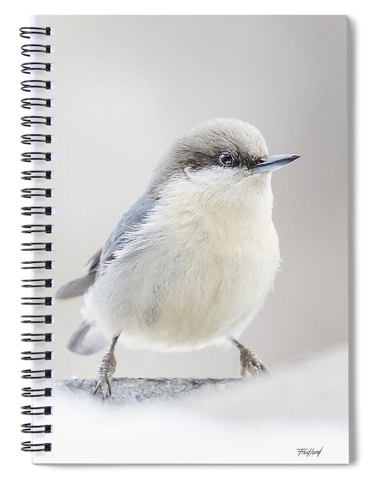 Bird Spiral Notebook featuring the photograph Pygmy Nuthatch by Fred J Lord