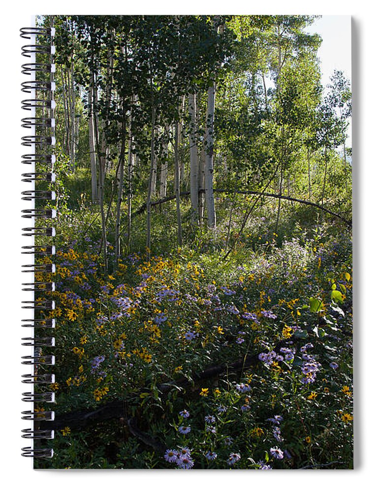 Quaking Aspen Spiral Notebook featuring the photograph Quaking Aspen Woodland by Greg Dimijian