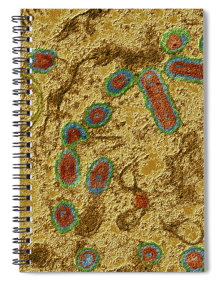 Rabies Spiral Notebook featuring the photograph Rabies Infected Cell by Eye of Science