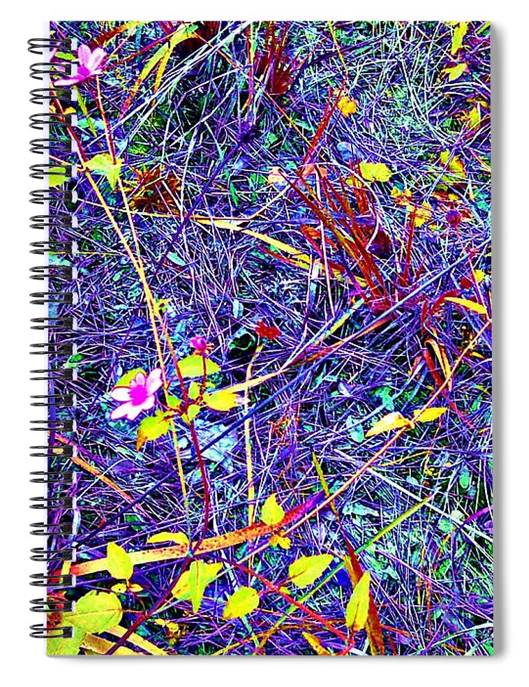 Rainbow Spiral Notebook featuring the photograph Rainbow Jungle Wild Flower Patch by George Pedro