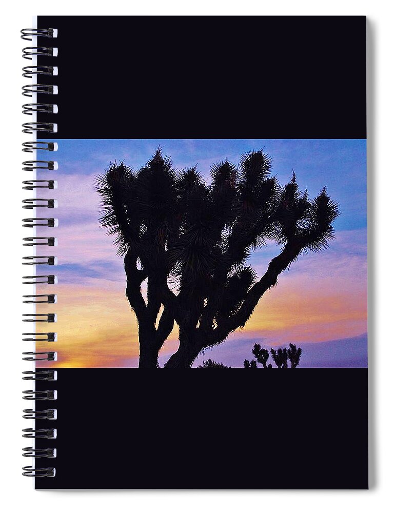High Desert Spiral Notebook featuring the photograph Rainbow Yucca by Angela J Wright