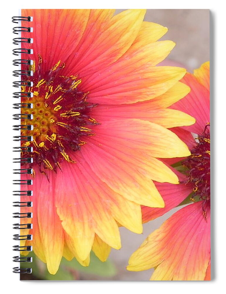 Photography Spiral Notebook featuring the photograph Rainbows by Chrisann Ellis