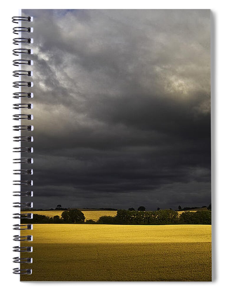 Rapefield Spiral Notebook featuring the photograph Rapefield Under Dark Sky by Heiko Koehrer-Wagner