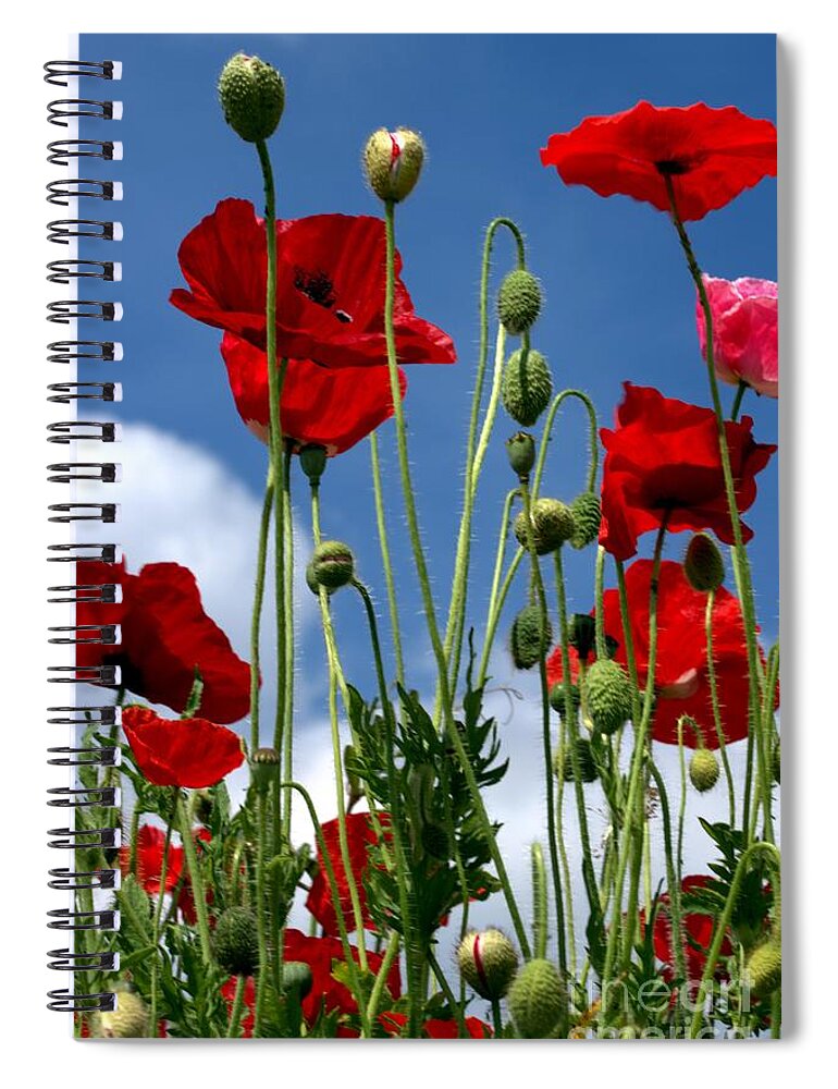 Flora Spiral Notebook featuring the photograph Reach for the Sky by Stephen Melia