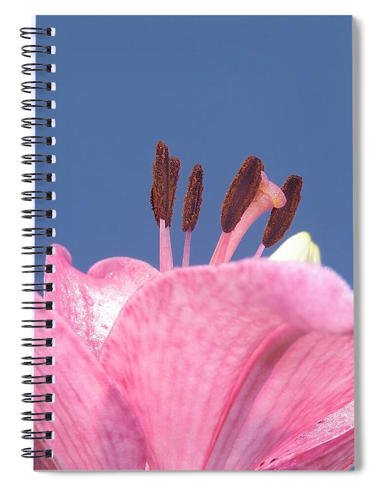 Flower Photograph Spiral Notebook featuring the photograph Reach for the Sky - signed by Michele Penn