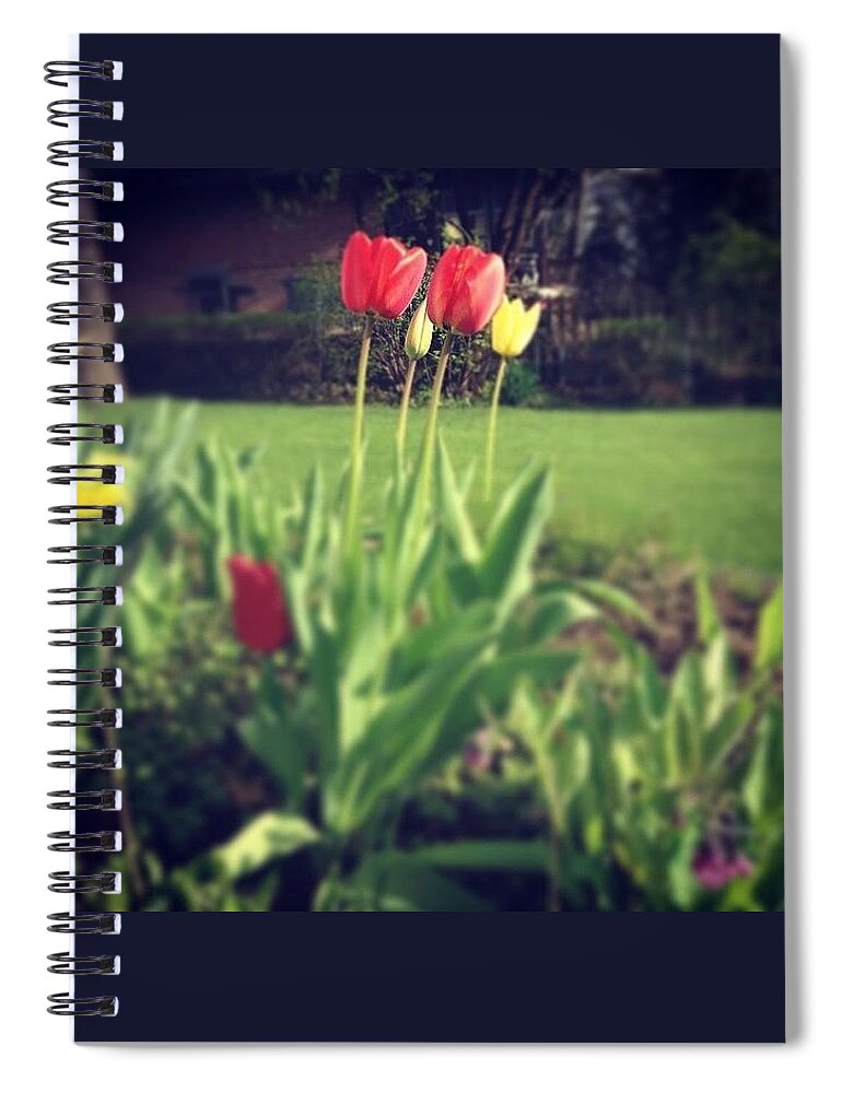 Red Spiral Notebook featuring the photograph Reaching For Spring by Frank J Casella