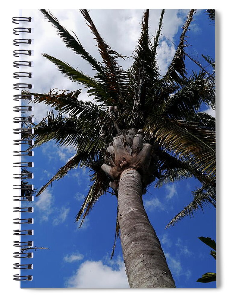 Palm Spiral Notebook featuring the photograph Reaching For The Sky by Christiane Schulze Art And Photography