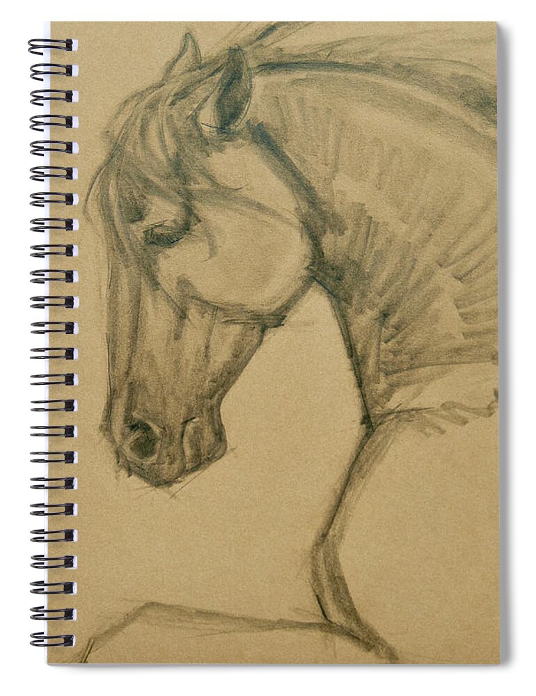 Horses Spiral Notebook featuring the drawing Rearing Stallion by Jani Freimann