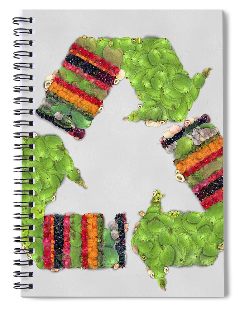 Object Spiral Notebook featuring the painting Recycle sign fruits and vegetables art by Eti Reid