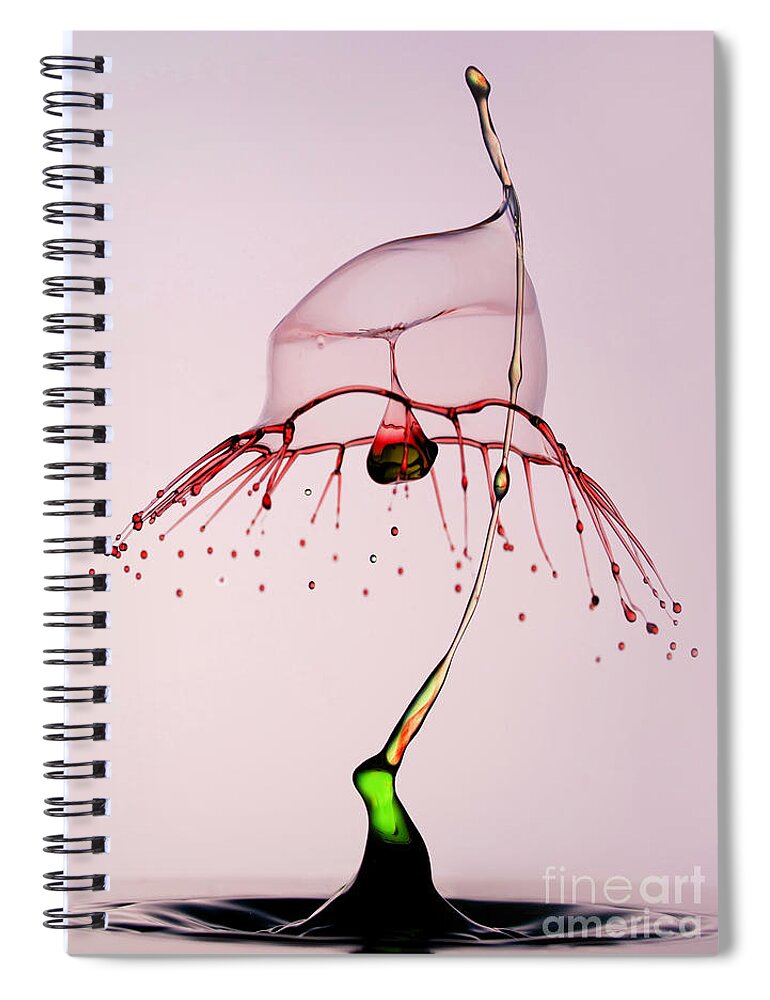Waterdrop Spiral Notebook featuring the photograph Red and green by Jaroslaw Blaminsky