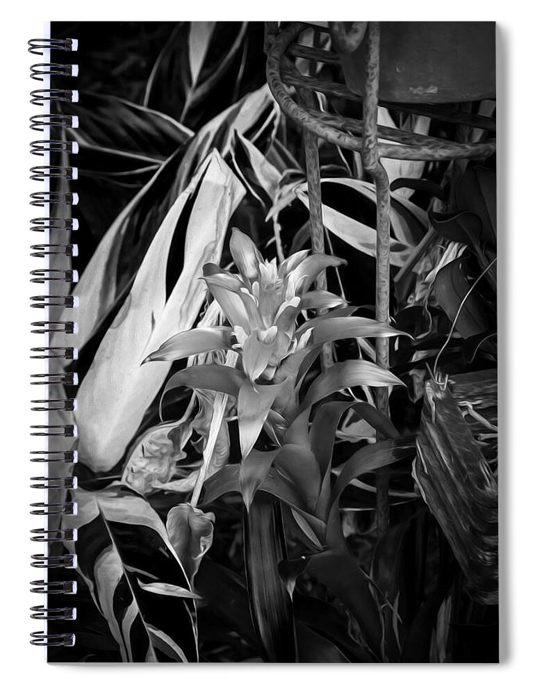 Tropical Spiral Notebook featuring the photograph Red Bromeliad and Tricolor Gingers BW by Rich Franco