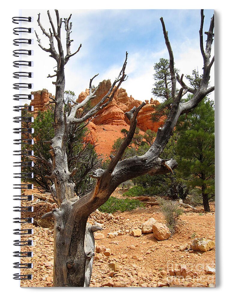 Red Canyon Spiral Notebook featuring the photograph Red Canyon Tree And Rocks by Debra Thompson