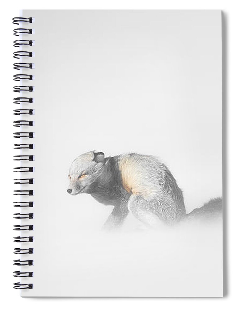 Yellowstone Spiral Notebook featuring the photograph Red Fox in Winter Storm by Bill Cubitt