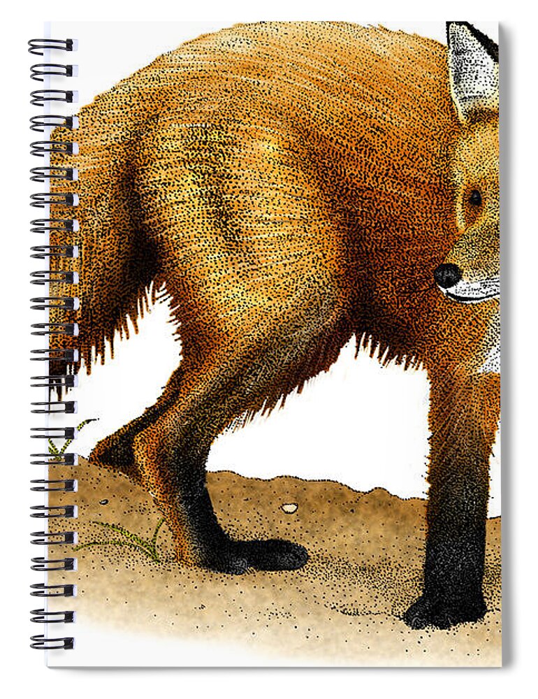 Art Spiral Notebook featuring the photograph Red Fox by Roger Hall