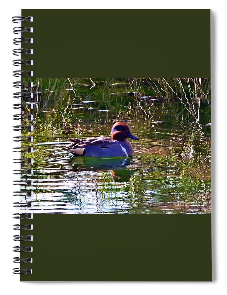 Bird Spiral Notebook featuring the photograph Red Headed Duck by Susan Garren