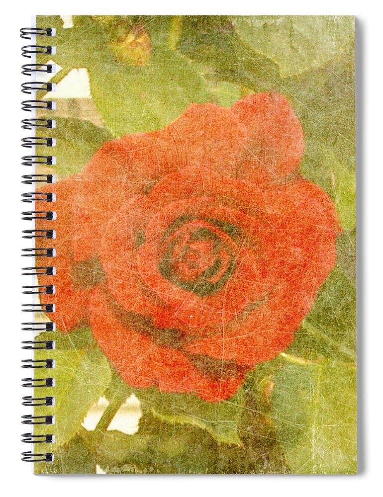 Summer Spiral Notebook featuring the photograph Red Hot Rose by Alys Caviness-Gober