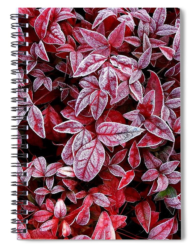 Outdoors Spiral Notebook featuring the photograph Red Leaf Covered With Frost by Photographer, Loves Art, Lives In Kyoto