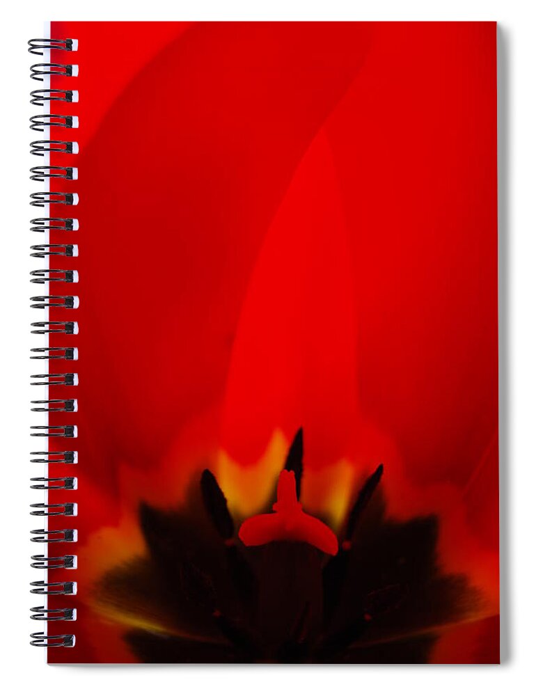 Red Spiral Notebook featuring the photograph Red Lips by Jani Freimann