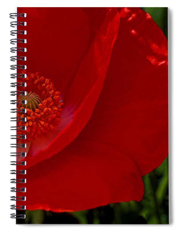 Red Spiral Notebook featuring the photograph Red Poppies by Paul W Faust - Impressions of Light