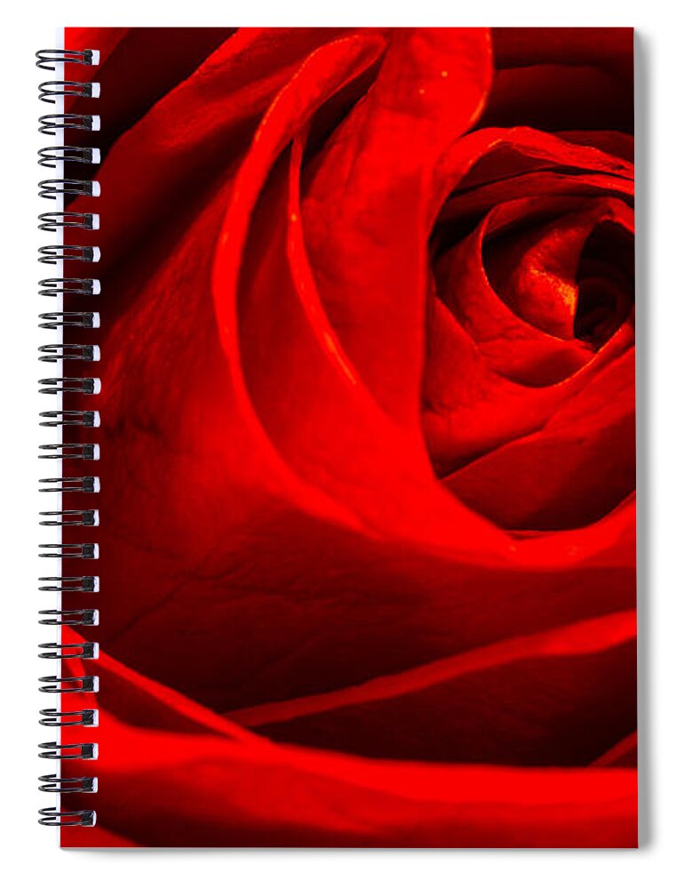 Rose Spiral Notebook featuring the photograph Red Rose by Zev Steinhardt