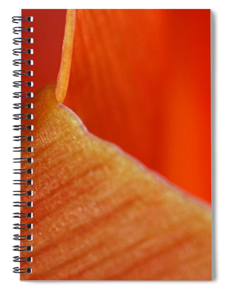 Abstract Spiral Notebook featuring the photograph Red Surge by Juergen Roth